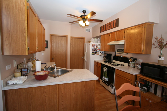 2507 Oak Tree Ln, Plainfield, IL 60586 photo 7
