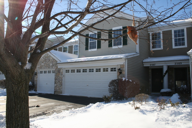 2507 Oak Tree Ln, Plainfield, IL 60586 photo 1