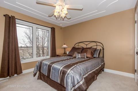 25410 W Alison Rd, Plainfield, IL 60586 photo 24