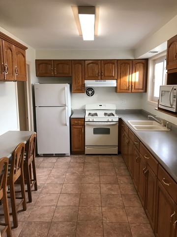 815 E Thacker St, Des Plaines, IL 60016 photo 10