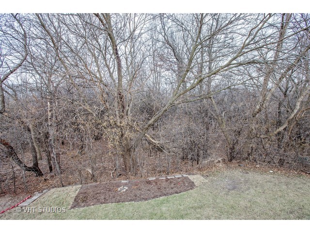 60 Willow Cir, Cary, IL 60013 photo 9