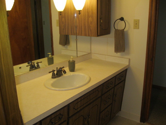 18272 Ada St, Lansing, IL 60438 photo 13