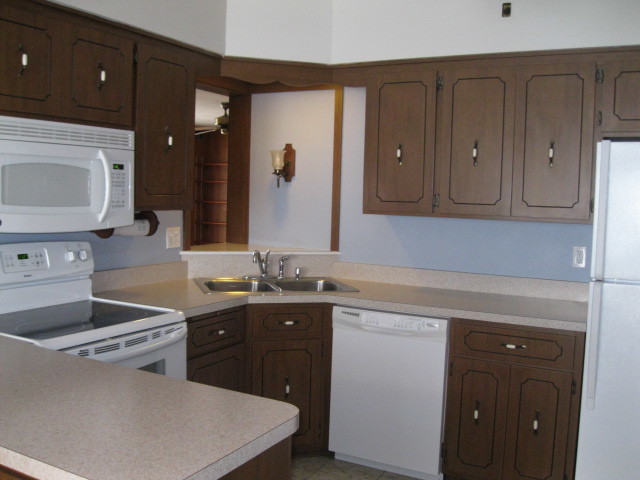 18272 Ada St, Lansing, IL 60438 photo 3