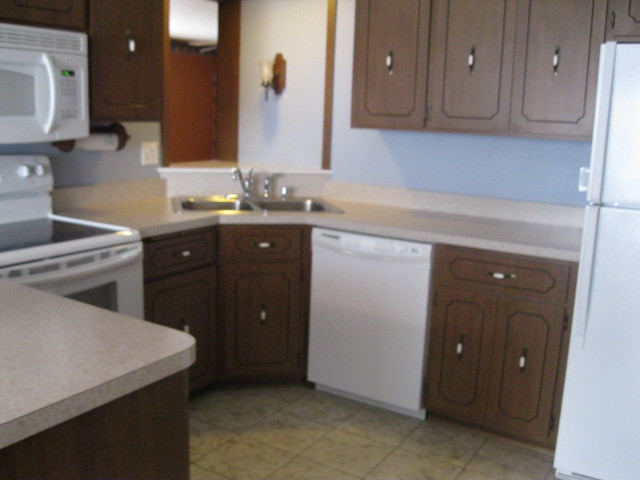 18272 Ada St, Lansing, IL 60438 photo 4