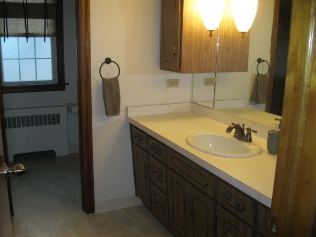 18272 Ada St, Lansing, IL 60438 photo 12