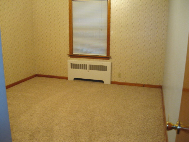 18272 Ada St, Lansing, IL 60438 photo 15