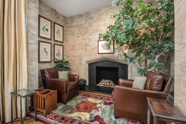 20 E Cedar St #16A, Chicago, IL 60611 photo 6