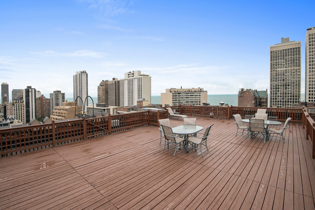 20 E Cedar St #16A, Chicago, IL 60611 photo 25