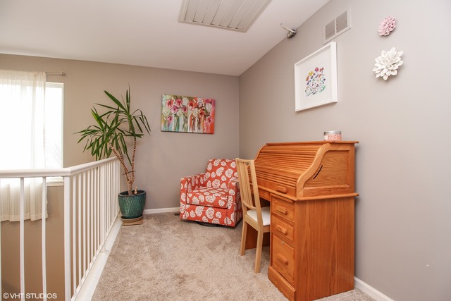 22207 W Niagara Trl, Plainfield, IL 60544 photo 5