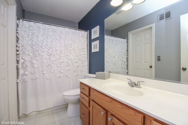 22207 W Niagara Trl, Plainfield, IL 60544 photo 7