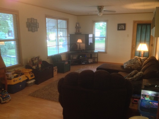 306 W Devlin St, Spring Valley, IL 61362 photo 4