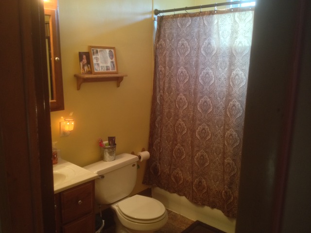 306 W Devlin St, Spring Valley, IL 61362 photo 7