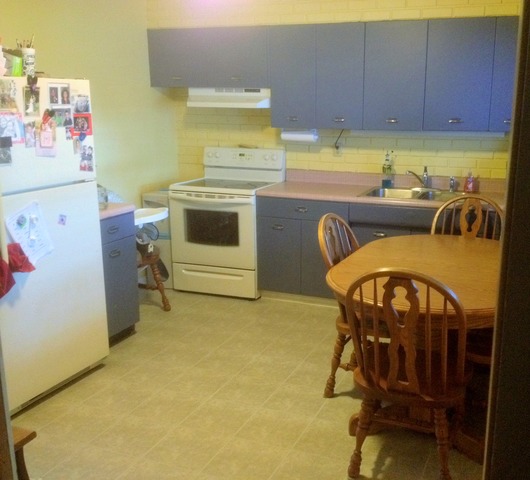306 W Devlin St, Spring Valley, IL 61362 photo 2