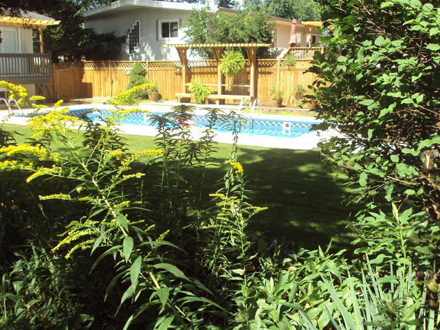 1403 Glencoe St, Wheaton, IL 60187 photo 10