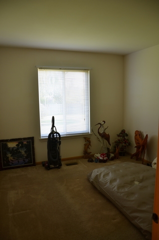 511 May St, Plano, IL 60545 photo 9