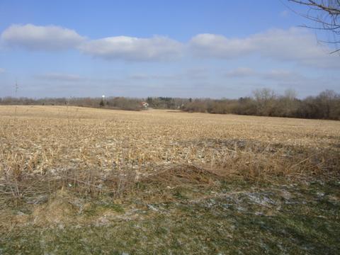 2564 Bemes Rd, Crete, IL 60417 photo 2