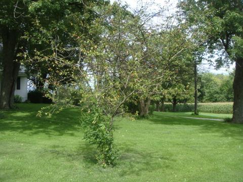 2564 Bemes Rd, Crete, IL 60417 photo 10
