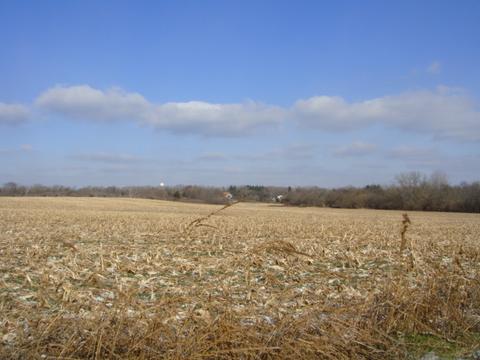 2564 Bemes Rd, Crete, IL 60417 photo 6