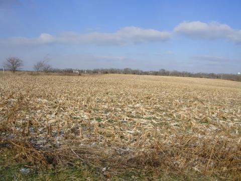 2564 Bemes Rd, Crete, IL 60417 photo 5