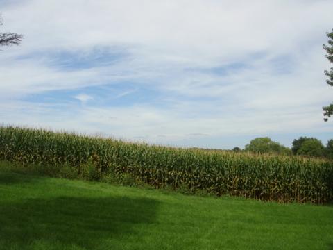 2564 Bemes Rd, Crete, IL 60417 photo 7