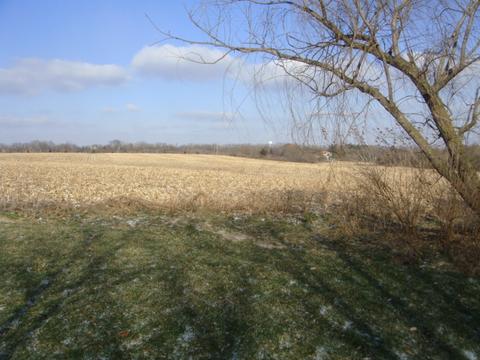 2564 Bemes Rd, Crete, IL 60417 photo 1