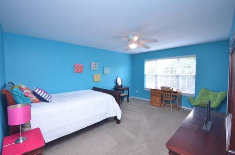 26301 Mapleview Dr, Plainfield, IL 60585 photo 21