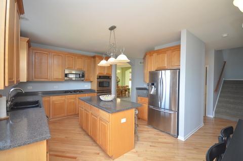 26301 Mapleview Dr, Plainfield, IL 60585 photo 9