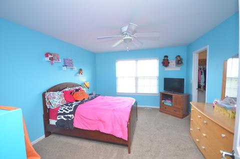26301 Mapleview Dr, Plainfield, IL 60585 photo 22