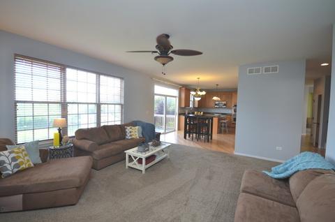 26301 Mapleview Dr, Plainfield, IL 60585 photo 14