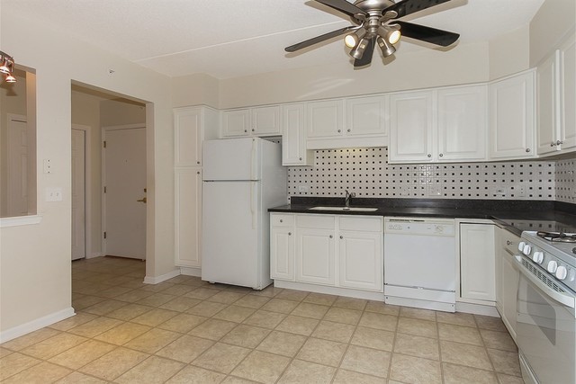 1349 E Washington St #409A, Des Plaines, IL 60016 photo 11