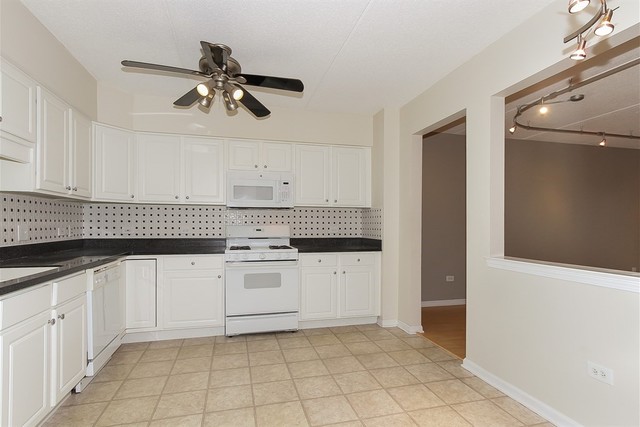 1349 E Washington St #409A, Des Plaines, IL 60016 photo 13