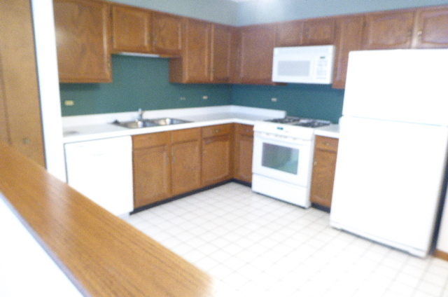 1321 Cheswick Ct #C, Wheeling, IL 60090 photo 9
