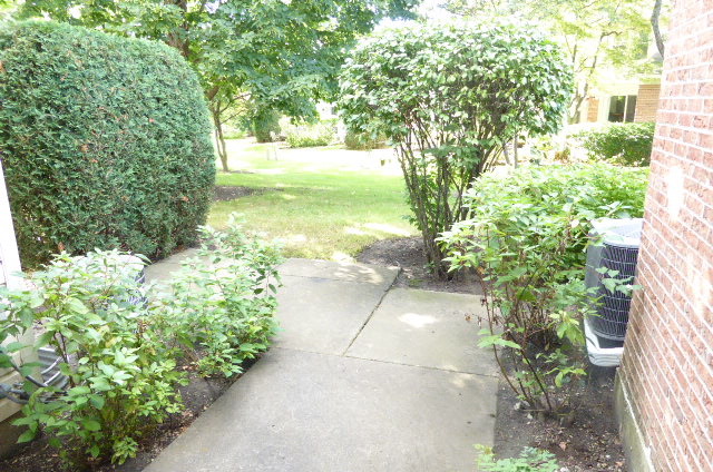 1321 Cheswick Ct #C, Wheeling, IL 60090 photo 22