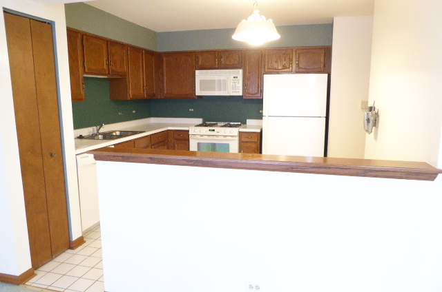 1321 Cheswick Ct #C, Wheeling, IL 60090 photo 10