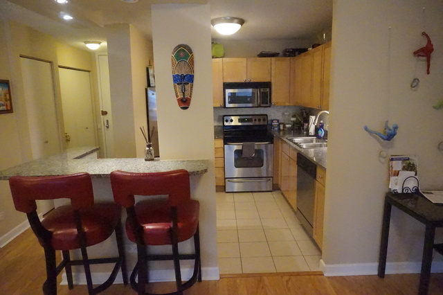 30 E Huron St #1810, Chicago, IL 60611 photo 4