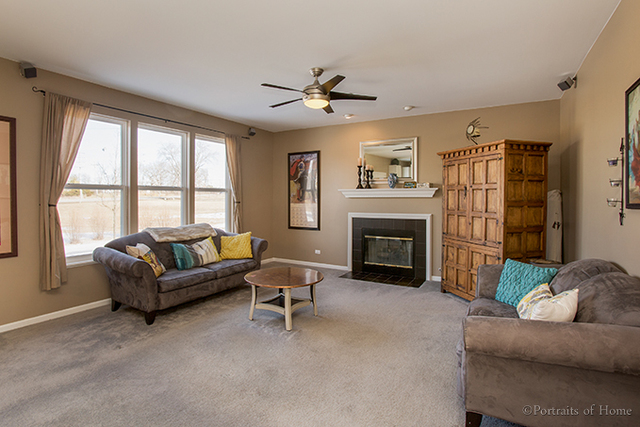 6000 Irene Dr, Hoffman Estates, IL 60192 photo 5