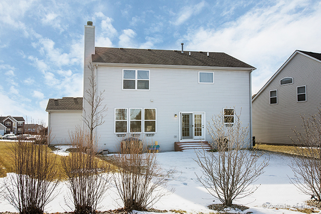 6000 Irene Dr, Hoffman Estates, IL 60192 photo 23