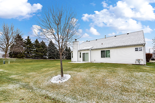 13721 S Redbud Dr, Plainfield, IL 60544 photo 14