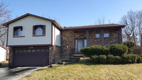 109 Pheasant Rd, Matteson, IL 60443 photo 9