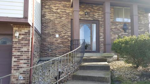 109 Pheasant Rd, Matteson, IL 60443 photo 13