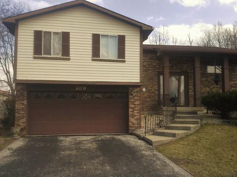 109 Pheasant Rd, Matteson, IL 60443 photo 1