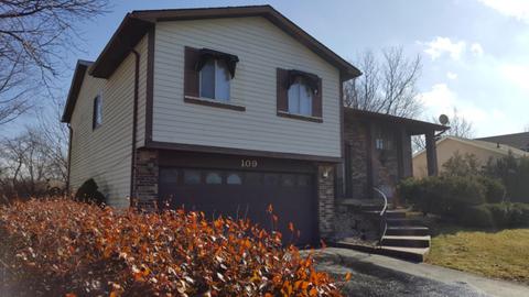 109 Pheasant Rd, Matteson, IL 60443 photo 4