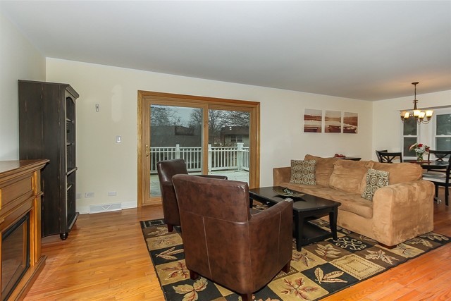 528 N Lyle Ave, Elgin, IL 60123 photo 4