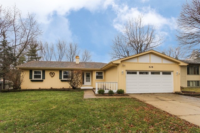 528 N Lyle Ave, Elgin, IL 60123 photo 1