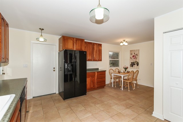 528 N Lyle Ave, Elgin, IL 60123 photo 8
