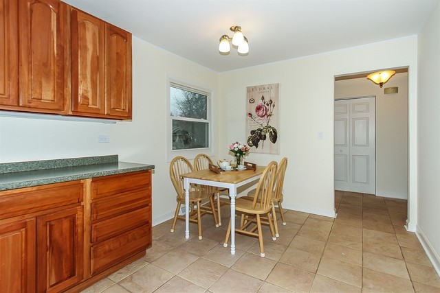 528 N Lyle Ave, Elgin, IL 60123 photo 9