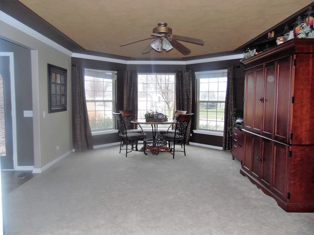 903 Joanne Dr, Minooka, IL 60447 photo 9