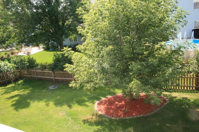 1097 Clover Hill Ln, Elgin, IL 60120 photo 19