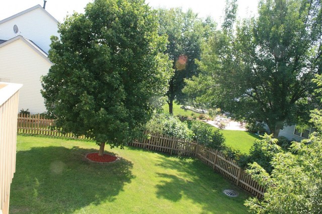 1097 Clover Hill Ln, Elgin, IL 60120 photo 20