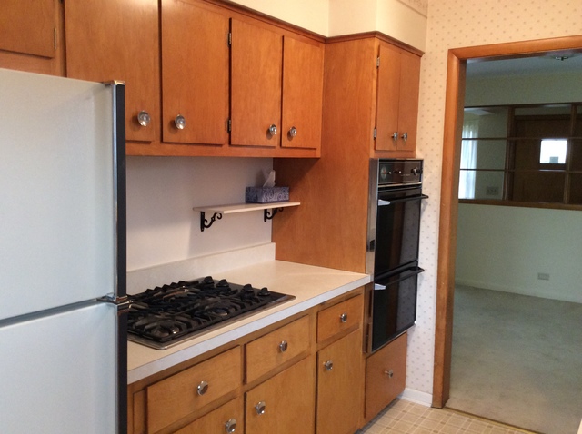837 S Spring Rd, Elmhurst, IL 60126 photo 6